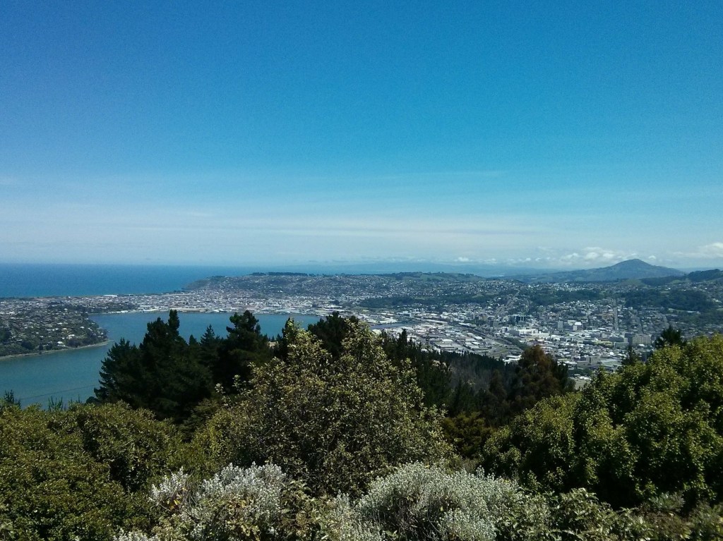 Dunedin from Signal Hill