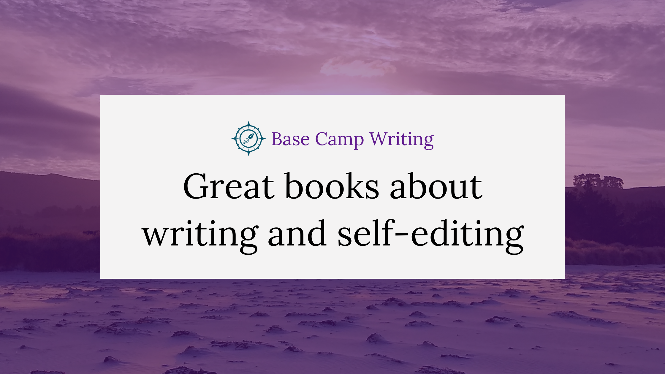 Great books about writing and&nbsp;self-editing