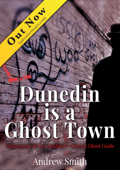 Cover of Dunedin Is A Ghost Town by Andrew Smith